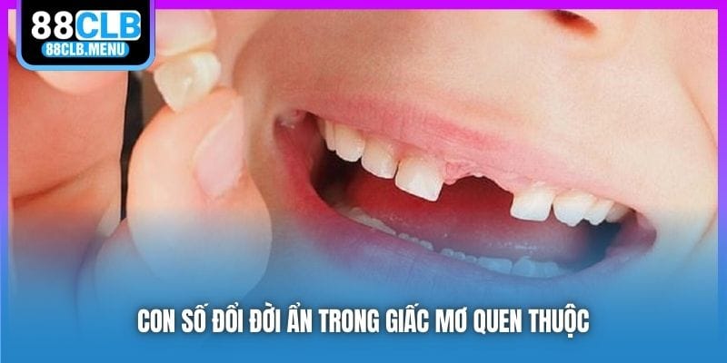 Con số đổi đời ẩn trong giấc mơ quen thuộc