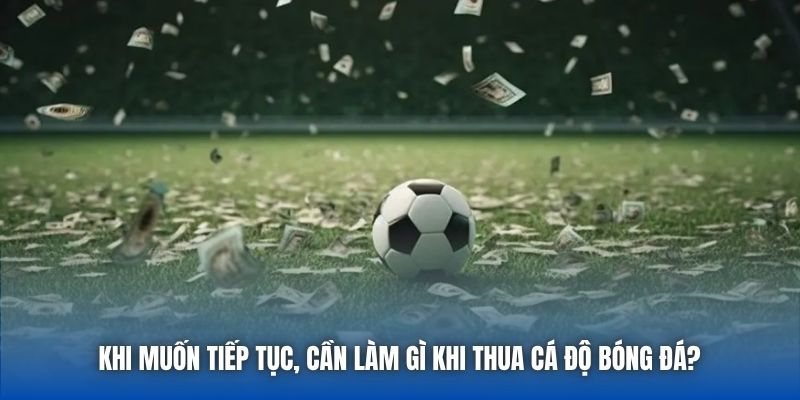 Khi muốn tiếp tục, cần làm gì khi thua cá độ bóng đá?
